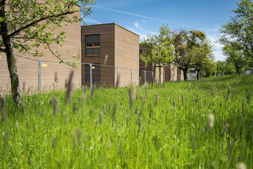 Die zweigeschossigen Gebäude sind mit Holz verkleidet und fügen sich so gut in die Umgebung ein.