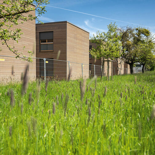 Die zweigeschossigen Gebäude sind mit Holz verkleidet und fügen sich so gut in die Umgebung ein.