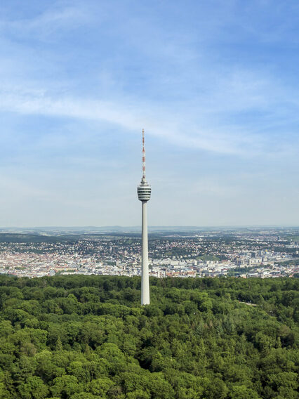 Blick von oben auf Stuttgarter mit Wald und Fernsehturm