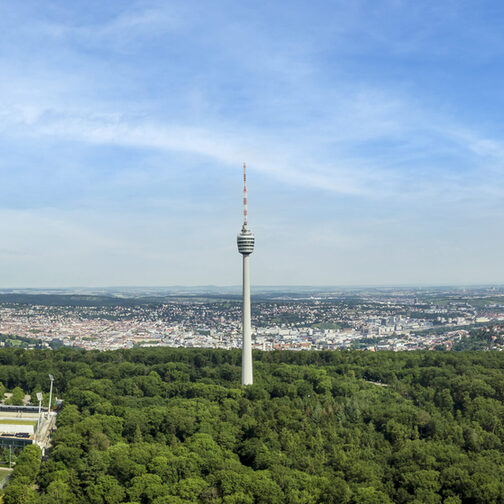 Blick von oben auf Stuttgarter mit Wald und Fernsehturm